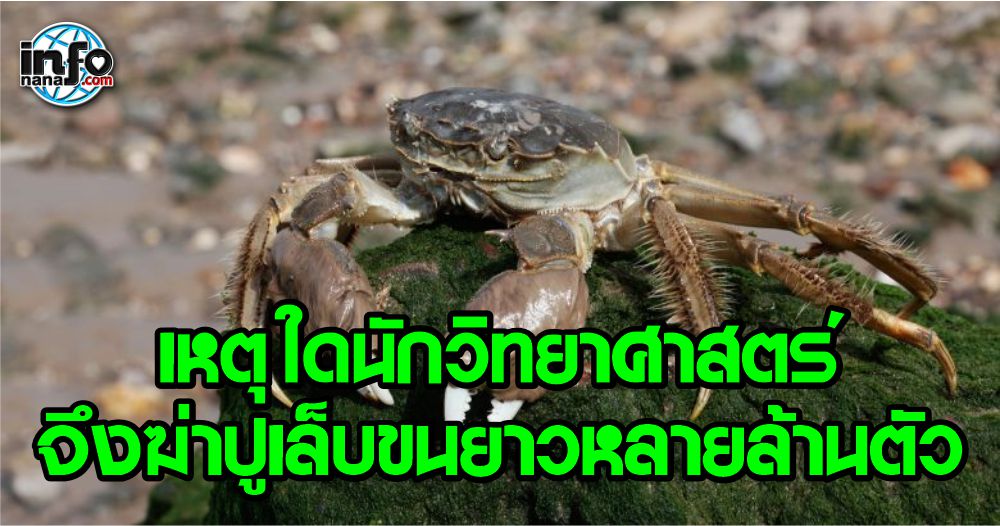 6867